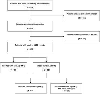 Frontiers | Epidemiological Investigation Of Lower Respiratory Tract ...